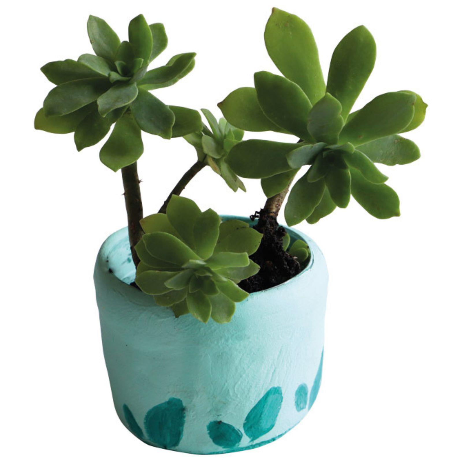 Glinamol 0,5kg Primo - pastelno zelena