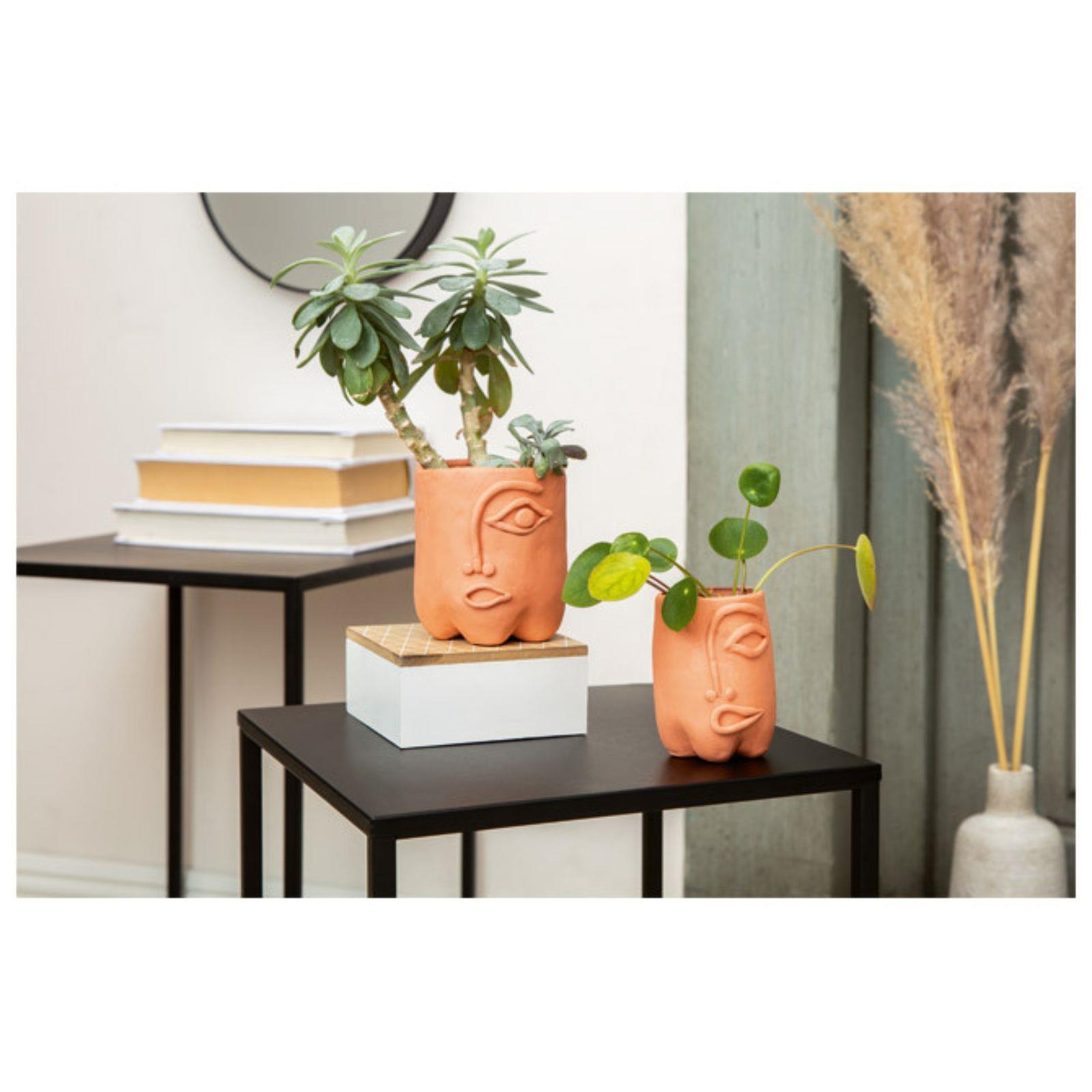 Glinamol 250g Basic Staedtler - boja mesa