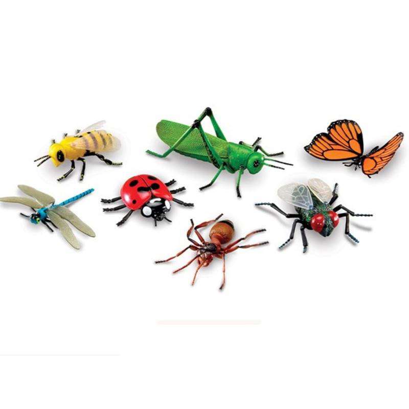 Insekti - 7 kom