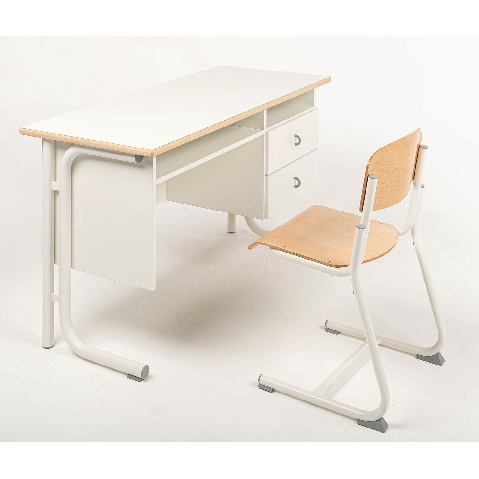 Školska katedra programa Mega