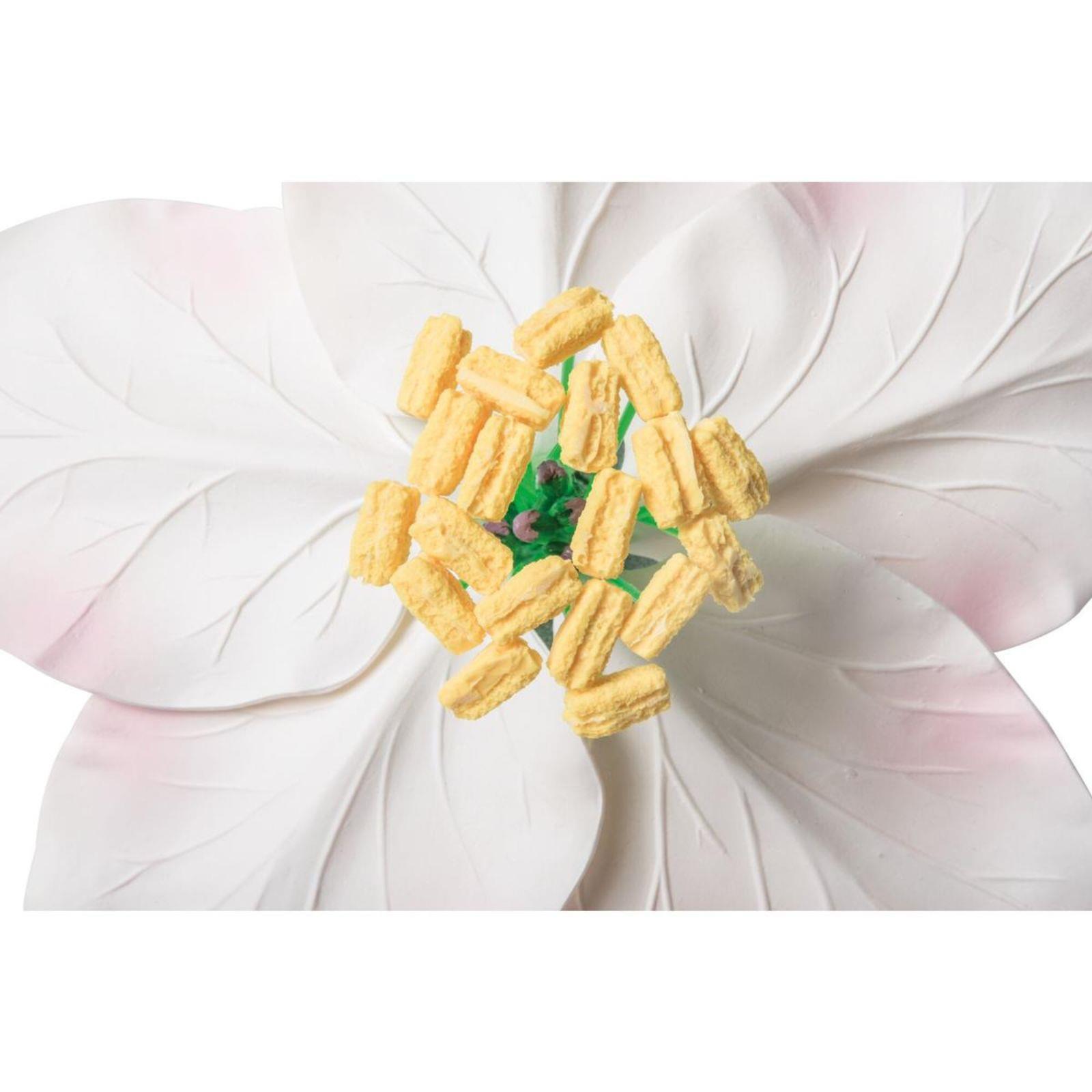 Model cvijeta jabuke