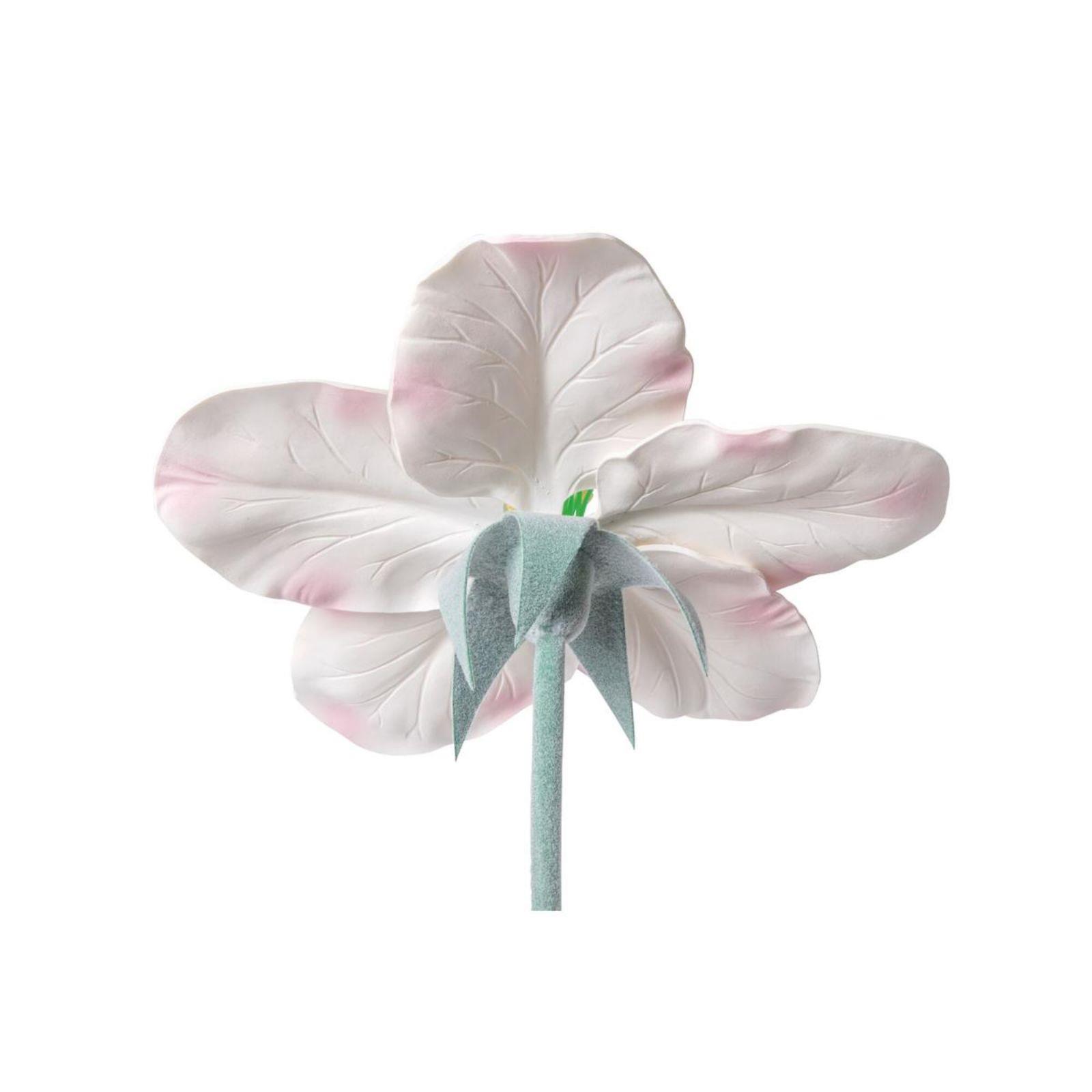 Model cvijeta jabuke