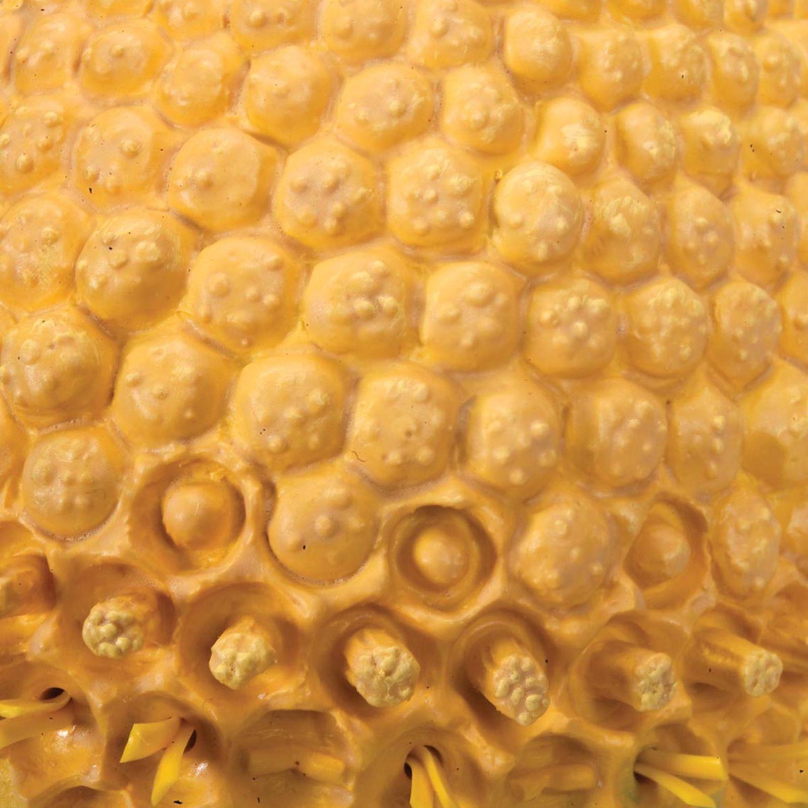 Model cvijeta kamilice