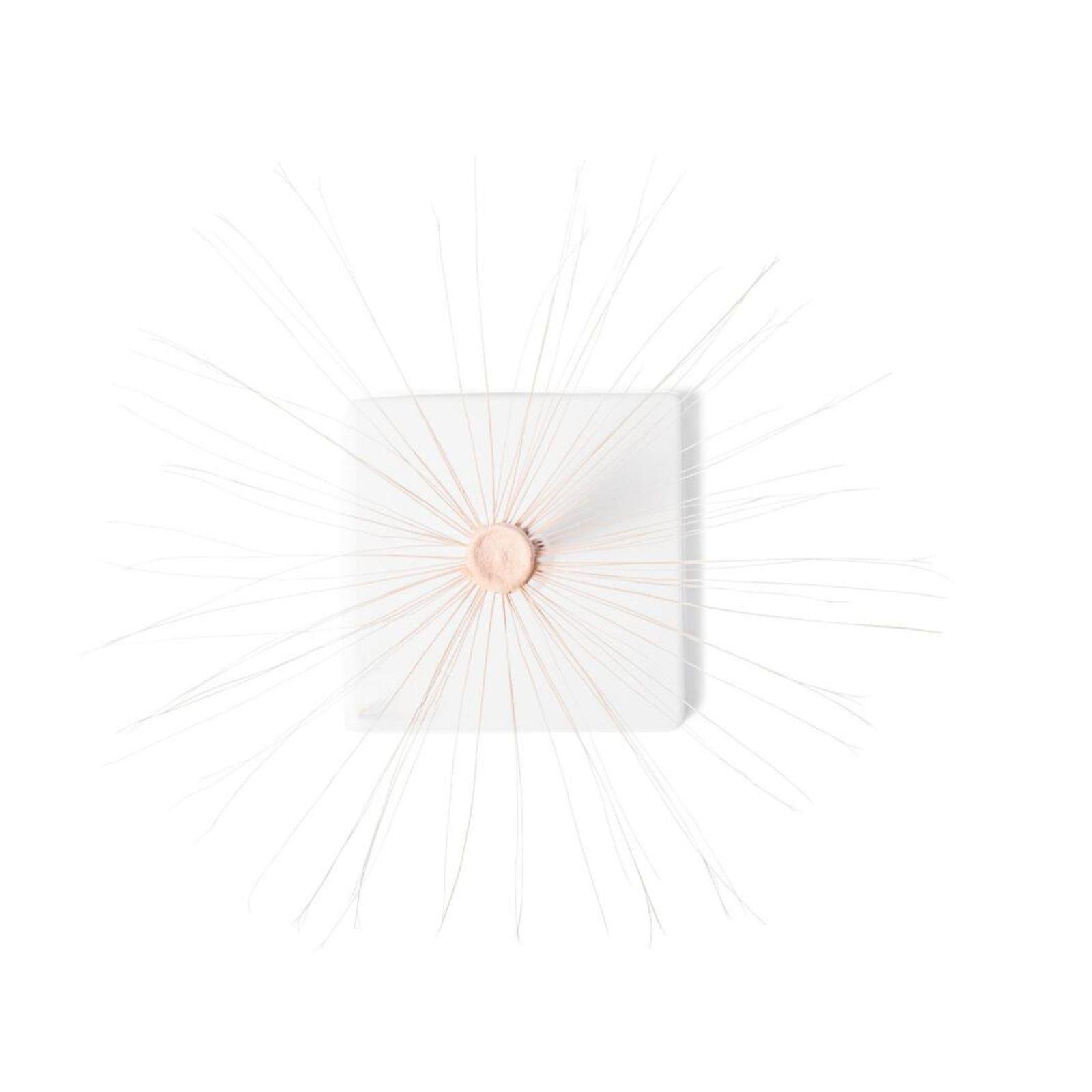 Model cvijeta maslacka