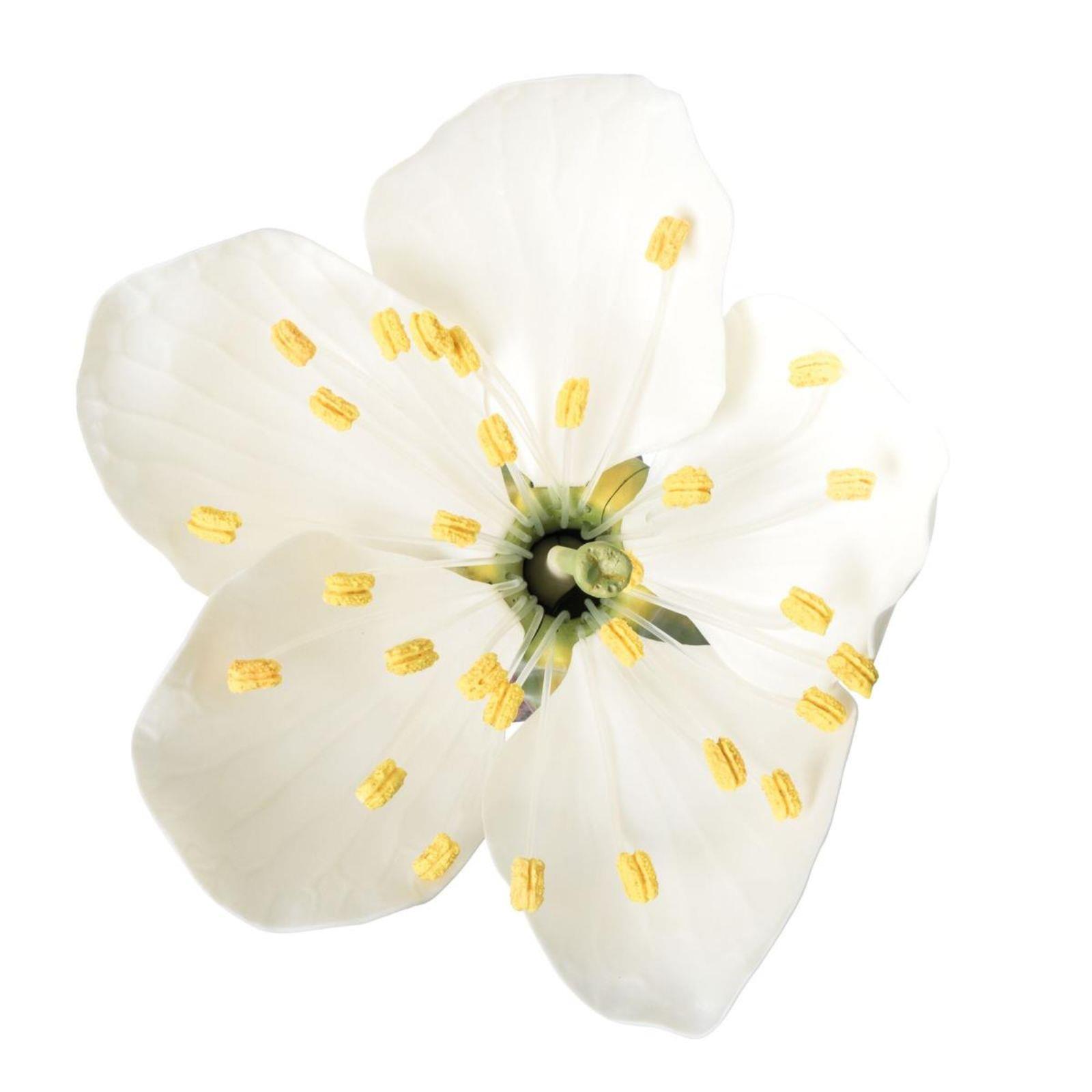 Model cvijeta trešnje s plodom